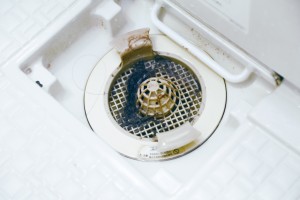 触りたくない排水溝のドロドロ汚れも! 触りたくない排水溝のドロドロ汚れも!